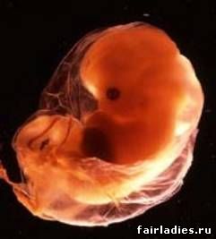 Готовимся к зачатию.