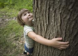 Экологическое воспитание в детском саду