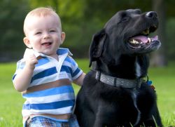 Домашние животные для детей